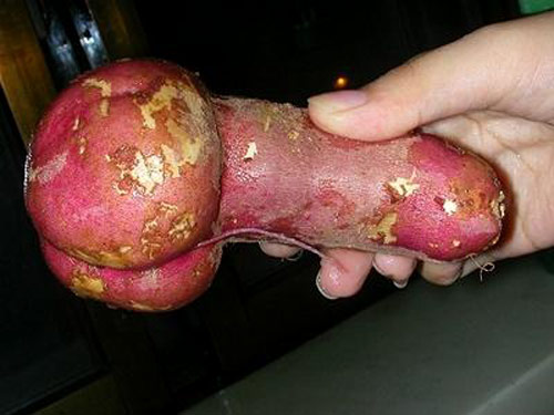 Vegetable Sex Pictures 29