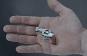 The smallest gun